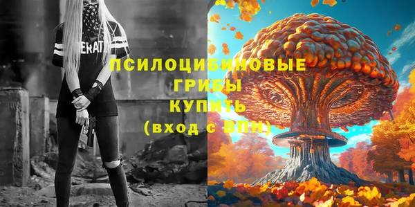 прущие грибы Верхний Тагил