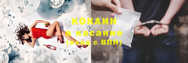 стаф Вяземский